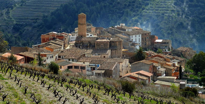 Slate-terraced vineyards in Priorat, Catalonia