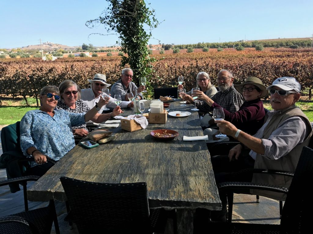 Vinotours guests raising a toast at a long table in the vineyard