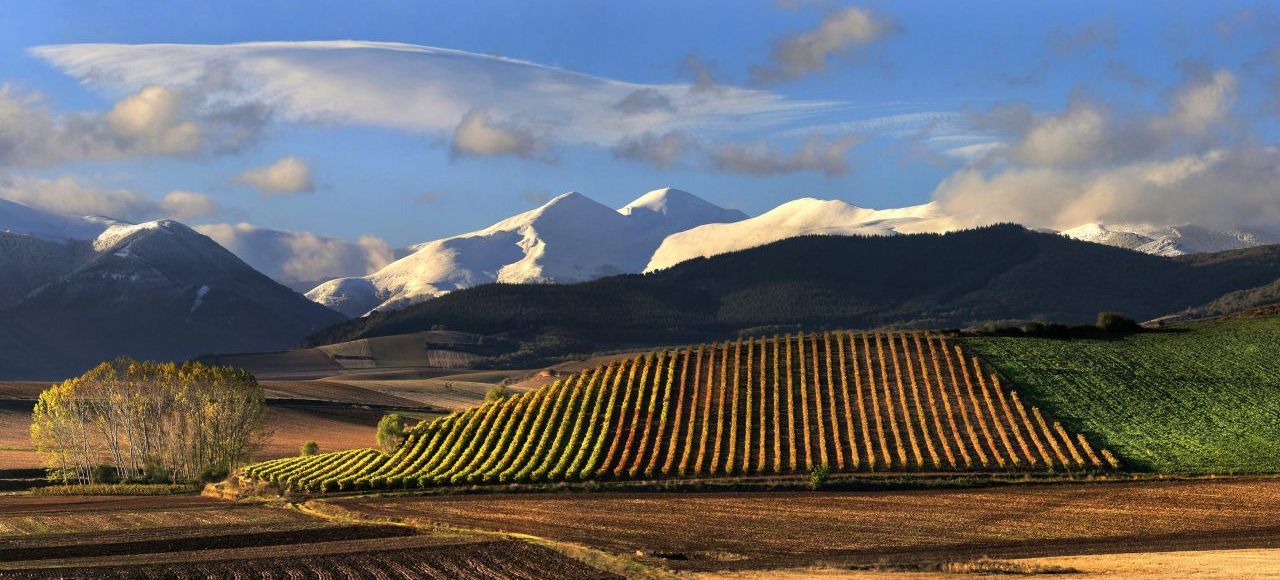 The Navarra landscape
